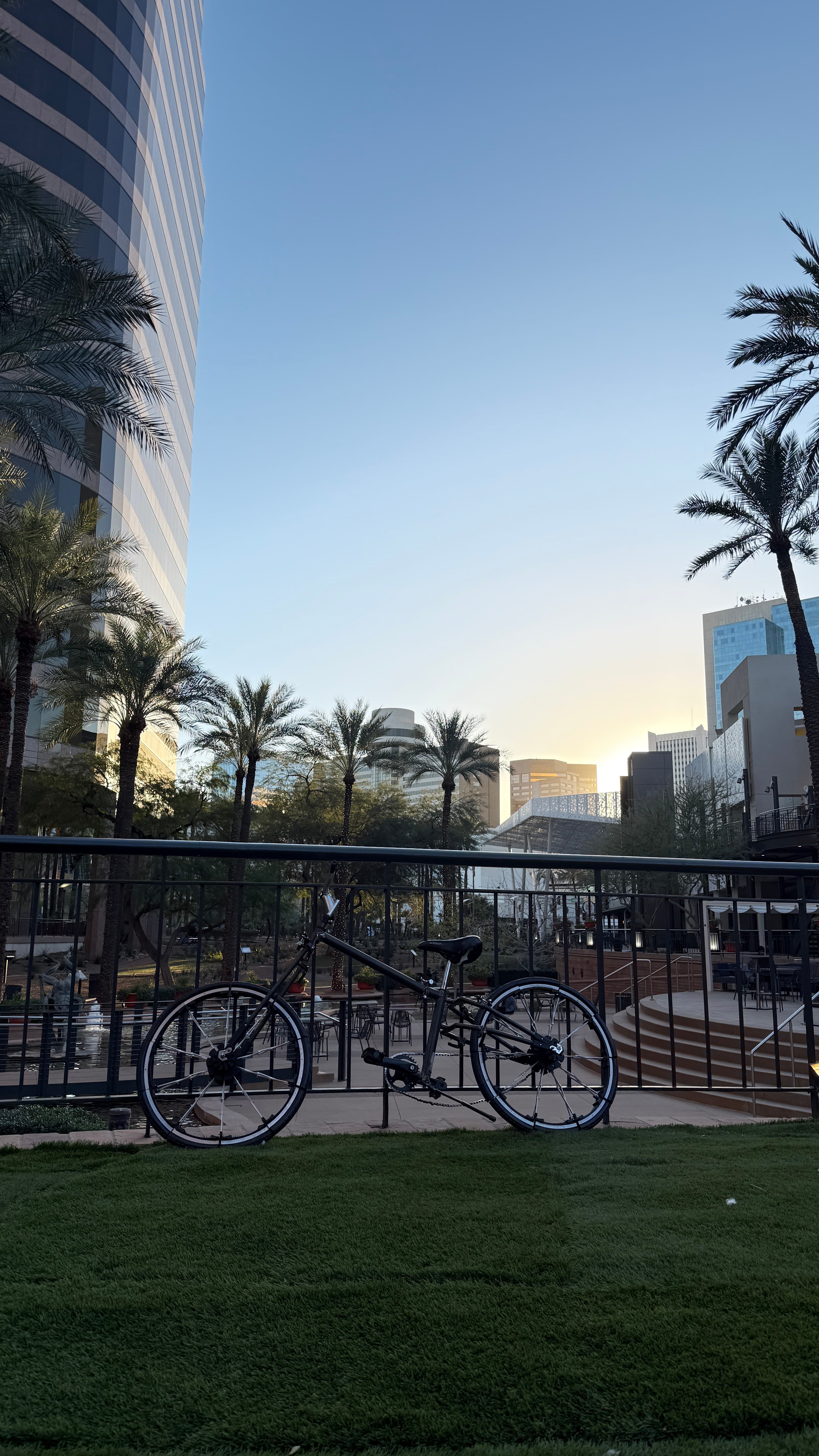 Pioneer unfolded view 2